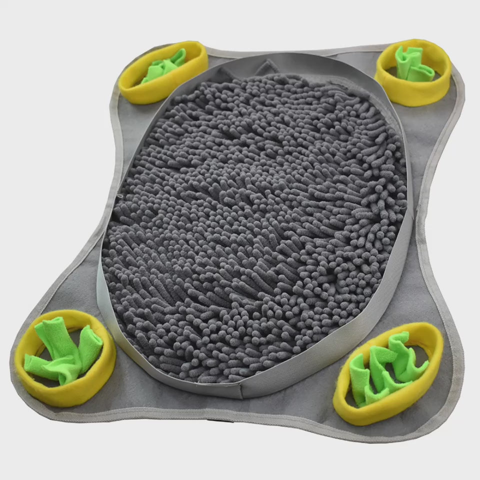 Exercise Your Dog's Nose-sniffing Ability To Elimi